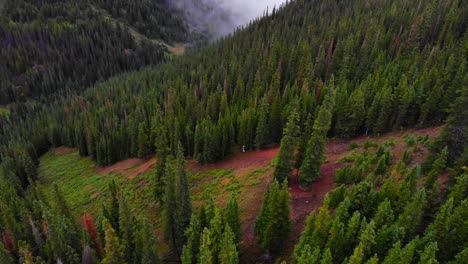 Lush-Green-Alpine-Pine-Trees-On-Mountain-Side-In-Valley-In-Rocky-Mountains,-Colorado,-USA