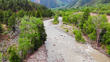 Flowing-River-With-Rocky-Riverbanks-Surrounded-By-Green-Pine-Coniferous-Trees-And-Alpine-Woodland-Rocky-Mountains