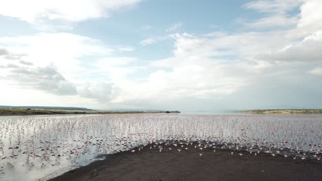 Beautiful-drone-shot-passing-by-a-group-of-pink-and-white-flamingos-at-Lake-Magadi,-Kenya,-East-Africa