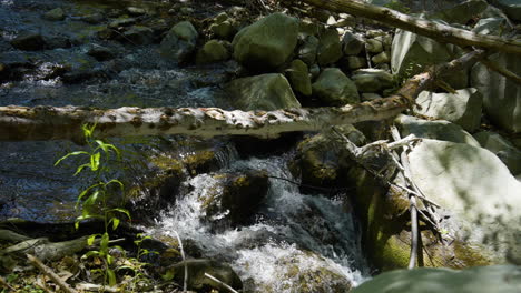 slow-motion-shot-of-cascade-with-fallen-tree-laying-over-it-running-into-a-little-creek-located-in-Santa-Paula-Punch-Bowls-Southern-California
