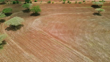 Abstract-pattern-of-plowed-Hass-Avocado-plantation-in-Loitokitok-Kenya,-aerial