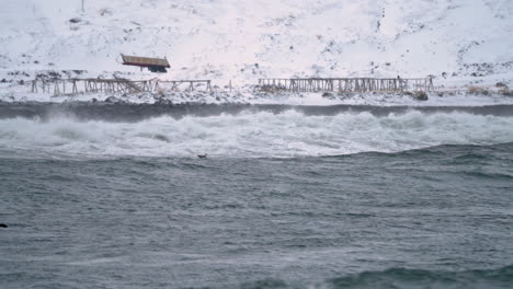 Arktische-Ozeanwellen,-Die-An-Der-Küste-Mit-Fischgestellen-Für-Die-Stockfischindustrie-Im-Hintergrund-Zusammenbrechen