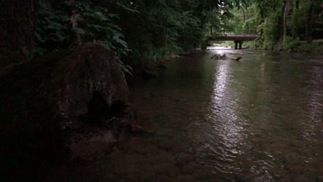Die-Nacht-Fällt-Auf-Einen-Bedrohlich-Fließenden-Fluss,-Der-Von-Bäumen-Und-Felsen-Gesäumt-Ist