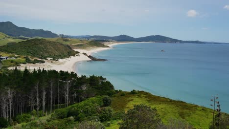 Aerial-pan-shot-of-beautiful-ocean-landscape-with-sandy-beach-and-forest-trees-growing-on-hills-during-sunlight---Te-Whara-Track,Maori-in-New-Zealand
