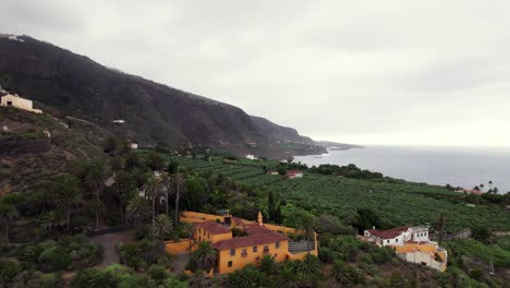 Aerial-reveal-of-banana-plantation-on-Tenerife-seaside-coastline