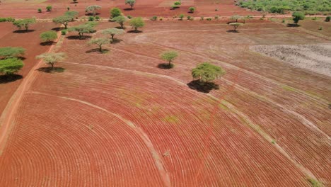 Plowed-soil-prepared-for-hass-avocado-grow-in-Loitokitok-Kenya,-aerial--Climate-change-COP26-Climate-conference