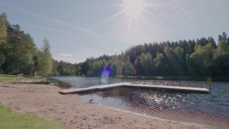 Bird-Exploring-Jetty-By-Kypesjön-Lake-in-Late-Summer,-Sunny-Daytime,-Borås-Sweden---Static-Wide-Shot