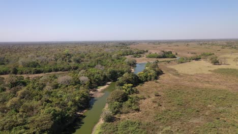 Trockenes-Sumpfgebiet-Aufgrund-Von-Dürre-In-Der-Südlichen-Pantanal-Region