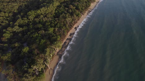 Scenic-Wangetti-Beach-With-Lush-Vegetation-In-North-Queensland,-Australia---aerial-drone-shot