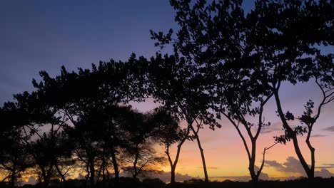 Statische-Ansicht-Einer-Reihe-Von-Bäumen-In-Einem-Auffälligen-Farbenfrohen-Sonnenuntergang