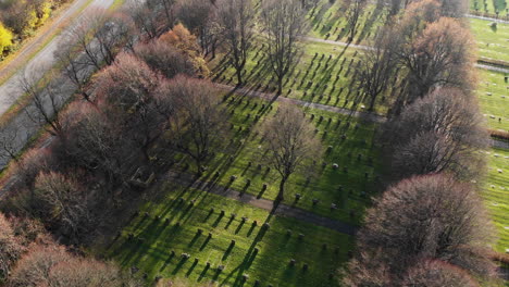 Aerial-flyover-Kviberg-Cemetery-surrounded-by-leafless-trees-during-beautiful-sunny-day-in-Gothenburg,-Sweden