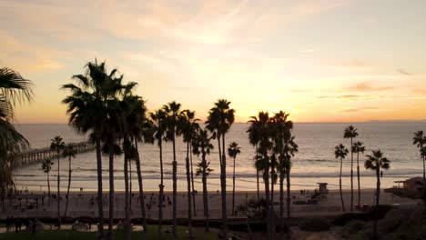 Palm-Trees-And-People-At-The-Beach-On-The-Coastal-City-Of-San-Clemente-In-Orange-County,-California-At-Golden-Hour-Sunset