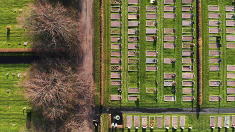 Overhead-drone-shot-of-graveyard-cemetery-with-tombstones-in-Sweden,-Kvibergs-kyrkogård-or-Kviberg,-Gothenburg