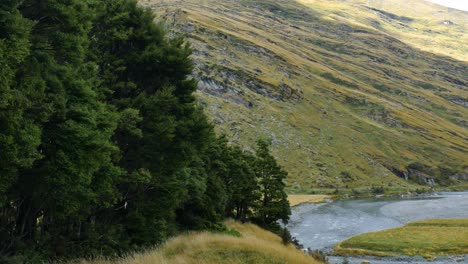 Weite-Aufnahme-Einer-Ländlichen-Flusslandschaft-Neben-Grünen-Bergen-Am-Rob-Roy-Gletscherweg-|-Wanaka,-Neuseeland