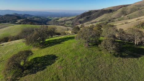 Drone-Shot-of-Green-Rolling-Hills-with-Oak-Trees,-Mount-Diablo-State-Park,-Walnut-Creek-California