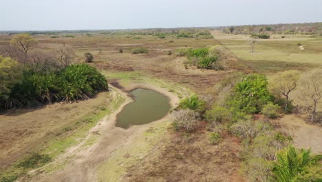 Aerial-view-of-dry-swamp-during-severe-drought-in-Pantanal,-Brazil