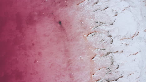 Antenne-über-Einem-Rosafarbenen-Salzsee,-Der-Den-Kontrast-Zwischen-Dem-Kristallisierten-Salz-Und-Dem-Rosafarbenen-Wasser-Zeigt