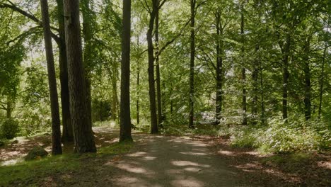 Gravel-Path-in-Annelunds-Park-Forest-at-Summer-Time,-Borås-Sweden,-Wide-Shot-Tracking-Forward