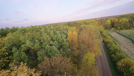 FPV-drone-flying-over-autumn-tree-canopy-during-fall-season