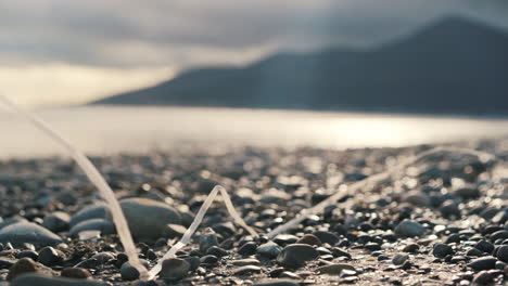 Plastic-washed-up-on-beautiful-spring-tide-beach-with-mountains-in-background