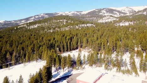 Aerial-drone-shot,-flying-over-the-woods-towards-the-snowy-mountains-in-Lake-Tahoe,-Nevada-California
