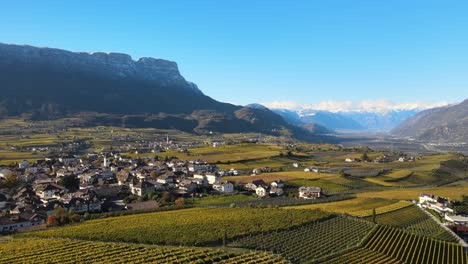 Luftdrohne-über-Den-Weinbergen-Im-Herbst-In-Südtirol-In-Italien