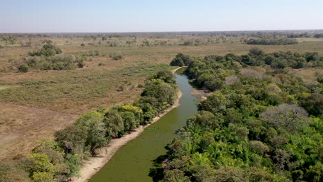 Pantanal-Teich-Mit-Ansammlung-Von-Alligatoren-Aufgrund-Von-Dürre-In-Der-Region