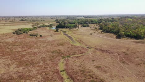Aerial-view-of-dry-swamp-during-severe-drought-in-Pantanal,-Brazil
