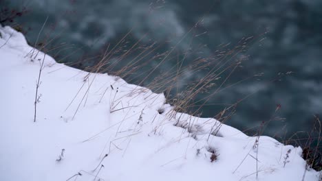 Trockenes-Gras-Im-Schnee-Mit-Fließendem-Fluss-Im-Verschwommenen-Hintergrund