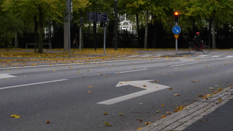 Leere-Straßenkreuzung-Mit-Roter-Ampel-Und-Fliegenden-Gelben-Herbstblättern,-Städtischer-Hintergrund-Mit-Kopierraum