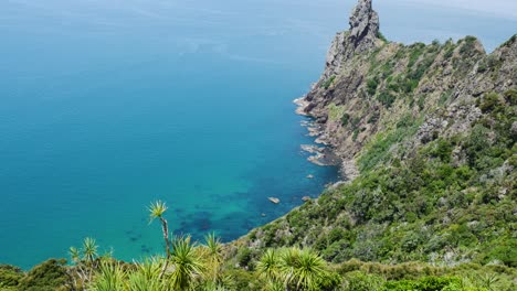 Panning-Shot-Exotischer-Berge-Mit-Küstenlinie,-Kristallklarem-Wasser-Und-Korallenriff-Während-Des-Sommertages-In-Neuseeland