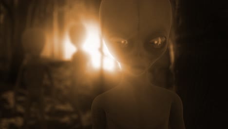 Chilling-3D-CGI-close-up-of-classic-Roswell-style-grey-aliens-standing-ominously-silhouetted-by-a-mysterious-glaring-orange-light,-in-the-middle-of-a-dark-and-eerie-forest-at-night