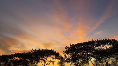 Bunter-Orangefarbener-Und-Gelber-Sonnenuntergang-über-Bäumen