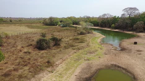 Vista-Aérea-Del-Pantano-Seco-Durante-La-Sequía-Severa-En-Pantanal,-Brasil