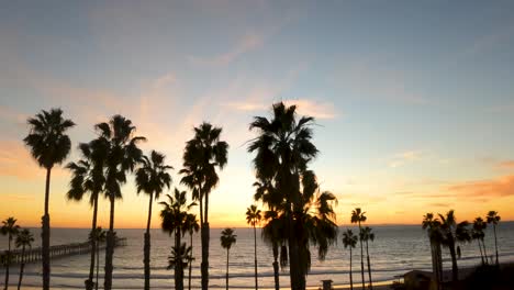 Silhouette-Of-Palm-Trees-At-San-Clemente-Beach-During-Scenic-Sunset-In-California,-USA