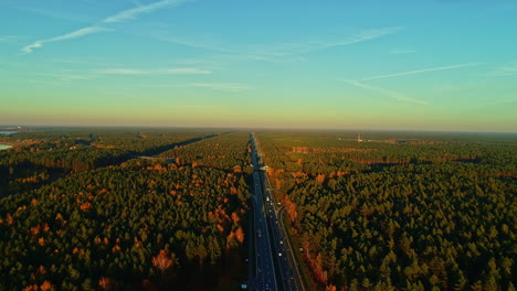 high-aerial-footage-following-a-highway-through-the-vast-pine-forests-of-Latvia