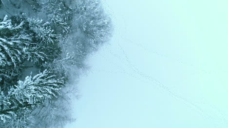 Alpine-snow-lands-of-Kitzbuhel-Innsbruck-Austria-aerial