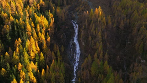 Aerial-view-rising-above-pristine-waterfall-cascading-through-Ahrntal-Casere-Autumn-woodland-valley,-South-Tyrol