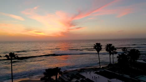 Sunset-and-palm-trees-aerial-shot-of-California-beach-during-golden-hour