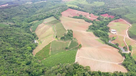 Aerial-view-of-a-farm-that-produces-fruits-such-as-apples,-peaches,-plums,-nectarines-in-the-middle-of-the-Atlantic-forest