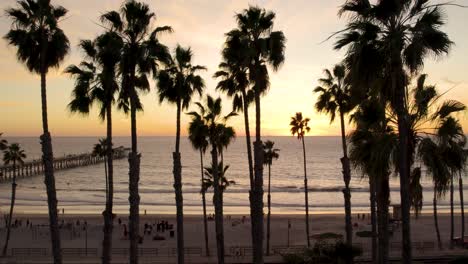 San-Clemente-Beach-with-Palm-Tree-Silhouettes-during-Beautiful-Sunset---Aerial