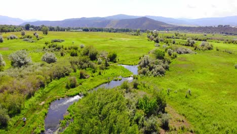 River-Creek-En-Exuberante-Verde-Hermosa-Y-Vibrante-Campiña-De-Colorado-Valle-De-Las-Montañas-Rocosas