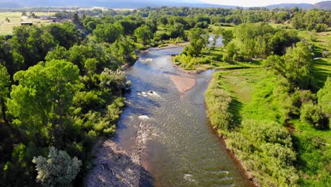 Shallow-River-Creek-Flowing-Though-Lush-Green-Colorado-Countryside-Foliage