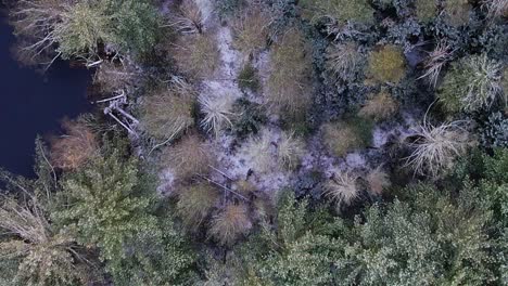 Aerial-drone-top-down-bird's-eye-video-footage-of-a-snowy-pine-forest-in-the-Appalachian-mountains