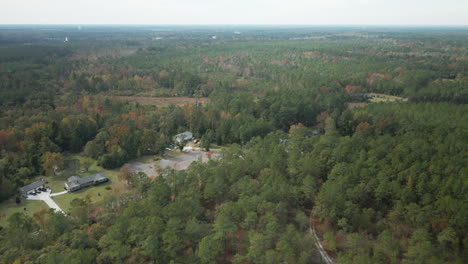 Aerial-shot-over-dense-woodland-4k