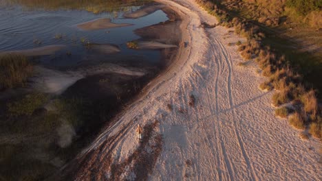 Rückansicht-Einer-Isolierten-Und-Nicht-Erkennbaren-Person,-Die-Am-Sandigen-Ufer-Der-Laguna-Negra-In-Uruguay-Spazieren-Geht