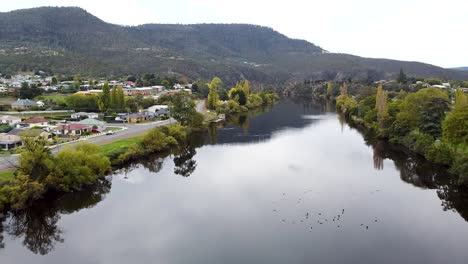 Aerial---drone-tracking-shot-of-beautiful-river-winding-through-a-small-town-in-Tasmania