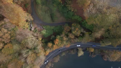 Moving-Look-Down-Drone-Shot-Of-Colourful-Autumn-Tree-Scene-With-Passing-Cars-Next-To-Lake-Windermere-Ambleside-Cumbria