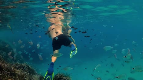 Underwater-slow-motion-scene-of-father-and-little-son-swimming-in-blue-tropical-sea-water-surrounded-by-school-of-fish