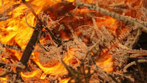 Burning-pile-of-branches-in-closeup---red-and-orange-fire-flames
